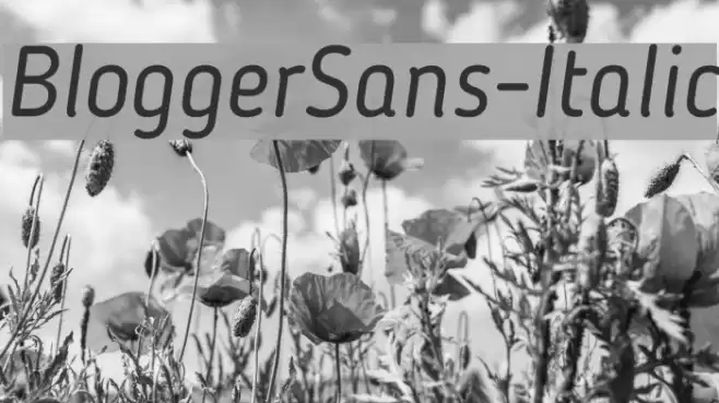 BloggerSans-Italic フォント examples