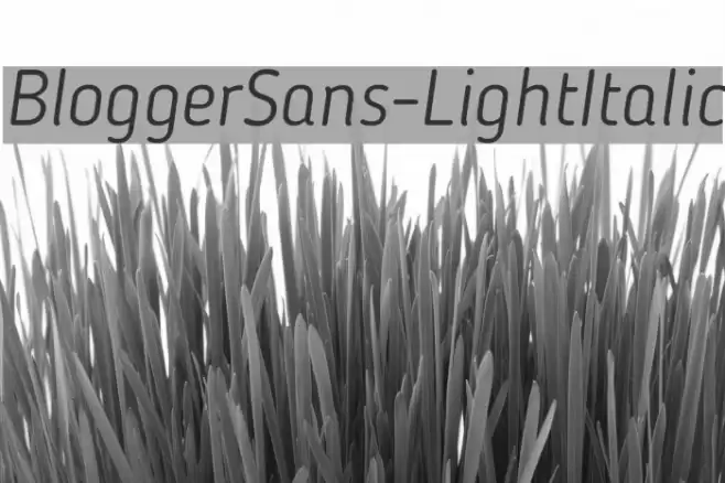 BloggerSans-LightItalic フォント examples