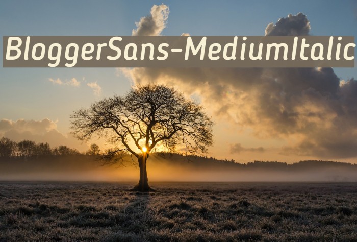 BloggerSans-MediumItalic Font examples