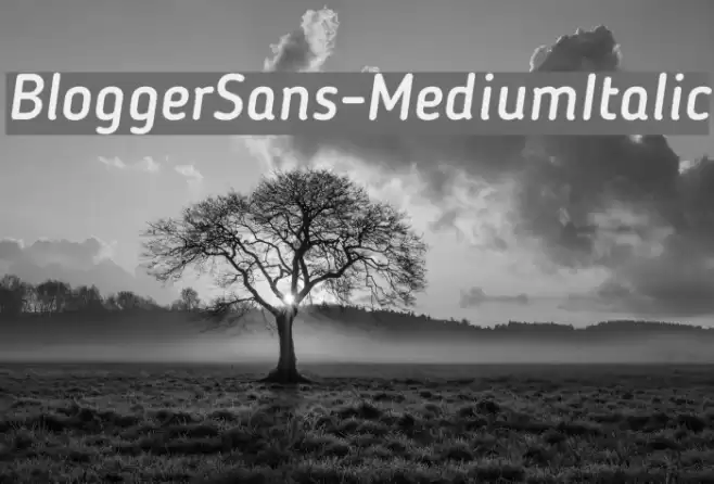 BloggerSans-MediumItalic Font examples