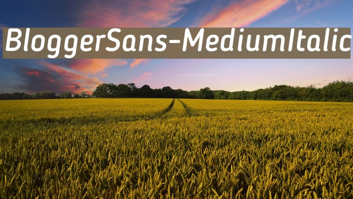 BloggerSans-MediumItalic Font examples