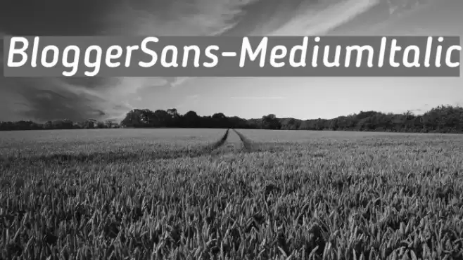 BloggerSans-MediumItalic Font examples