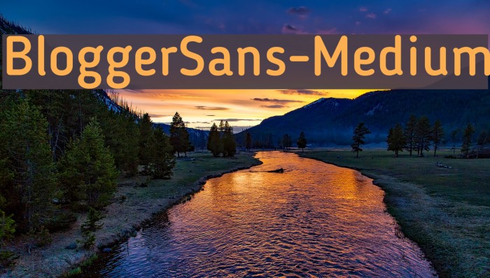 BloggerSans-Medium Font examples