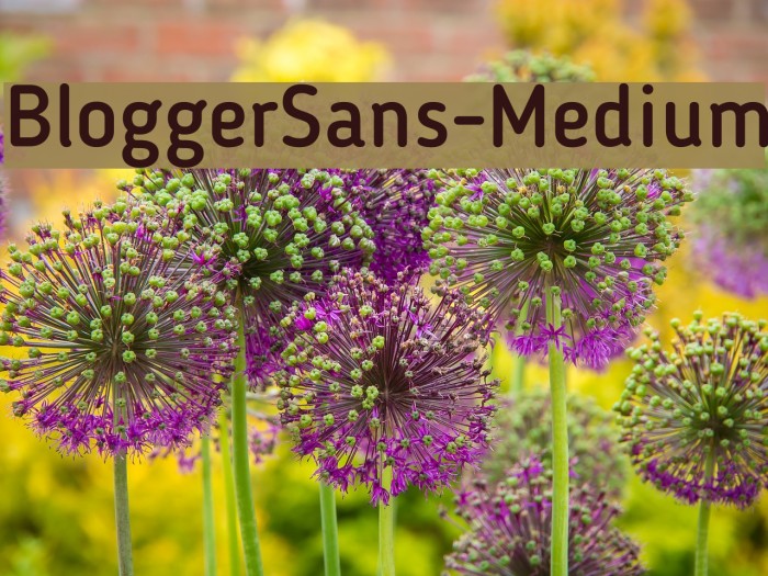 BloggerSans-Medium Font examples