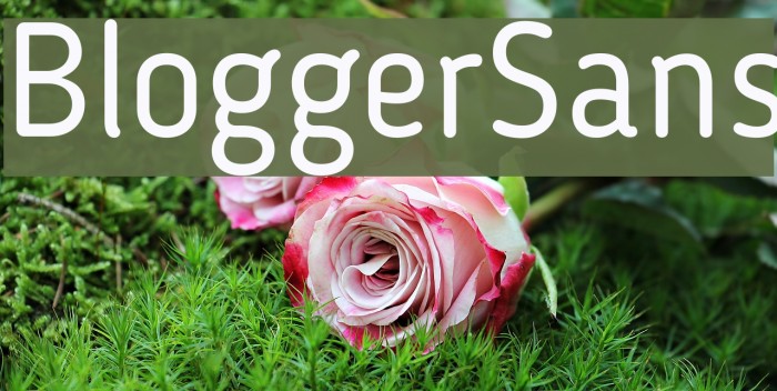 BloggerSans Font examples
