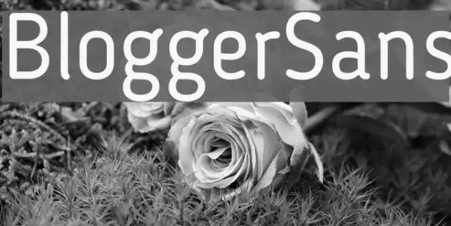 BloggerSans Font examples