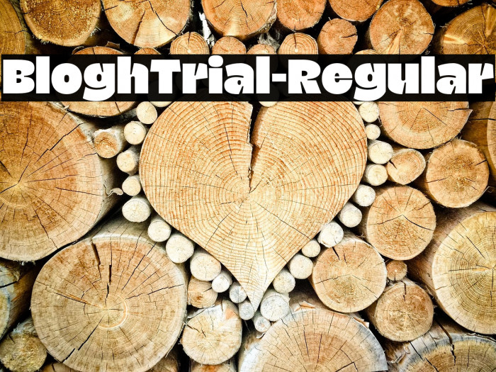 BloghTrial-Regular Example 1