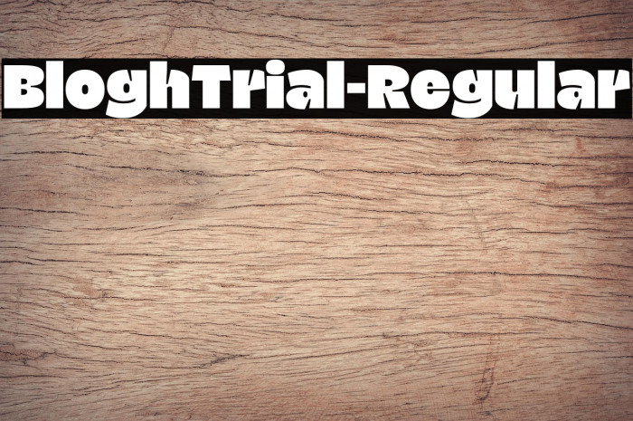 BloghTrial-Regular Example 2