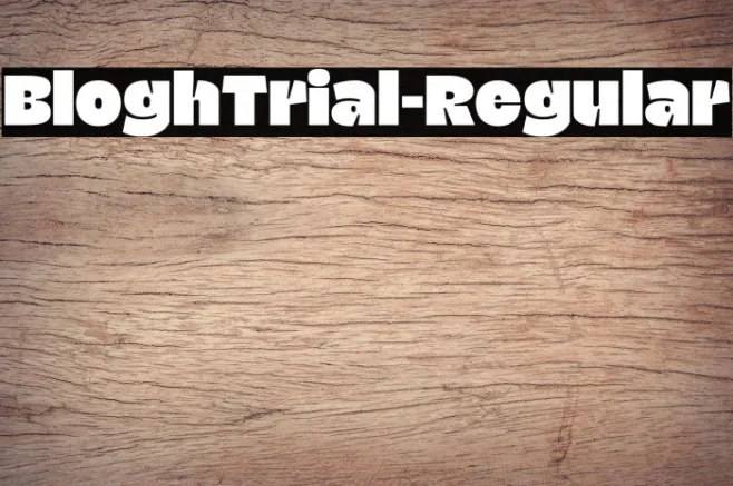 BloghTrial-Regular Example 2