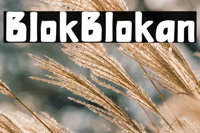 Blok Blokan Example 2