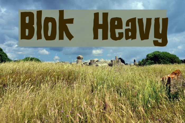 Blok Heavy Caratteri examples