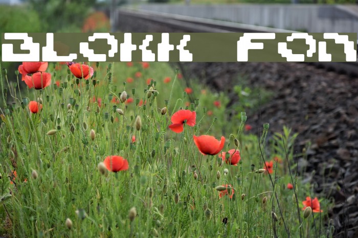 Blokk Font examples