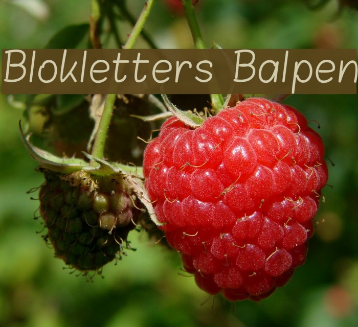 Blokletters Balpen Font examples