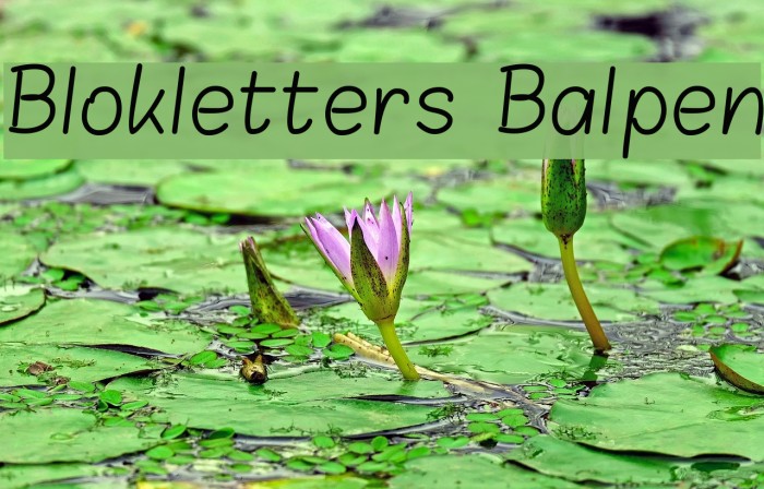 Blokletters Balpen Font examples