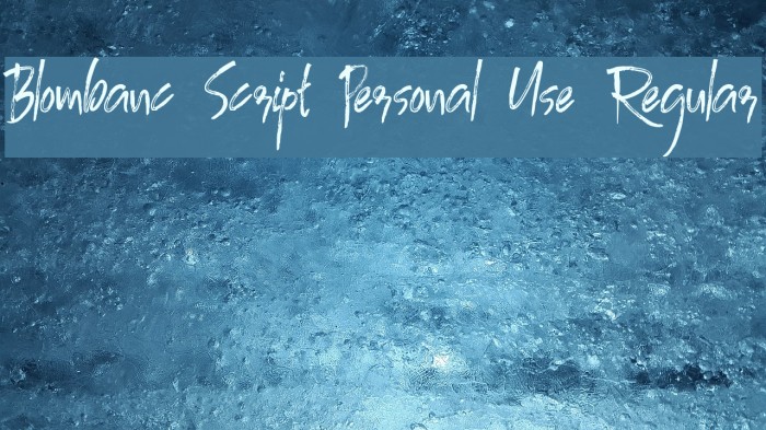Blombanc Script Personal Use Regular Example 1