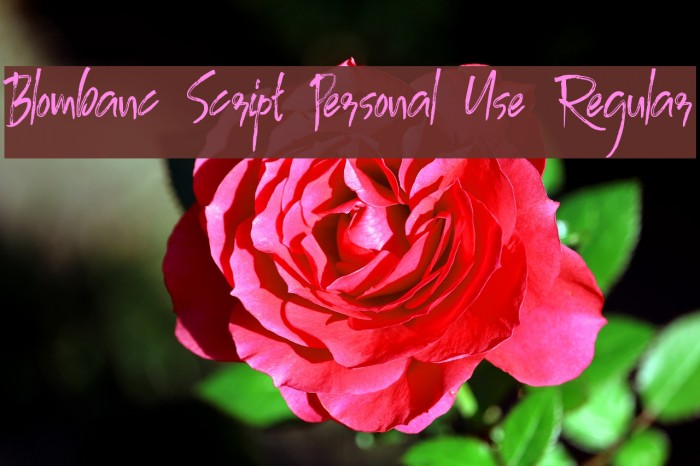 Blombanc Script Personal Use Regular Example 2