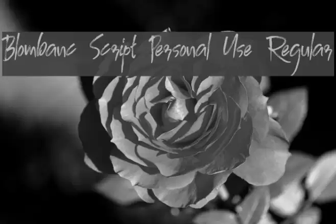 Blombanc Script Personal Use Regular Font examples
