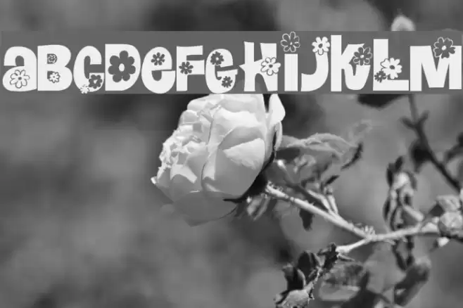 Blomster フォント examples