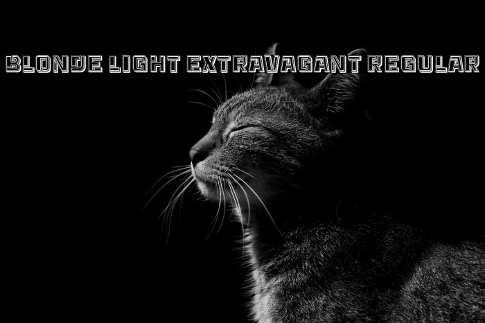 Blonde Light Extravagant Regular Example 3