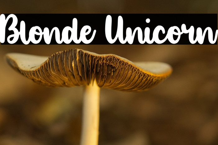 Blonde Unicorn Example 1