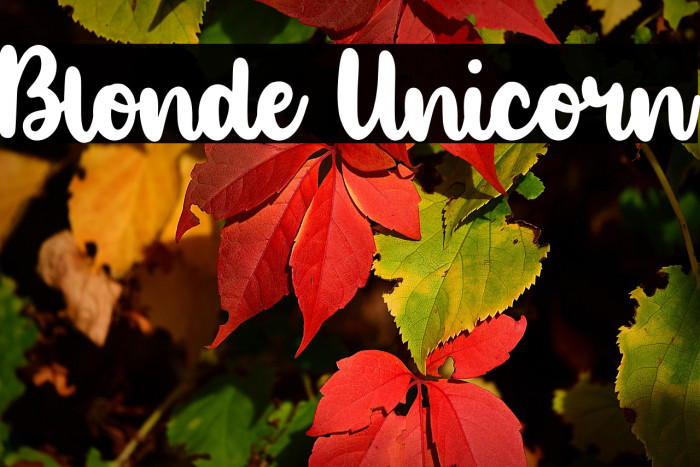 Blonde Unicorn Example 2