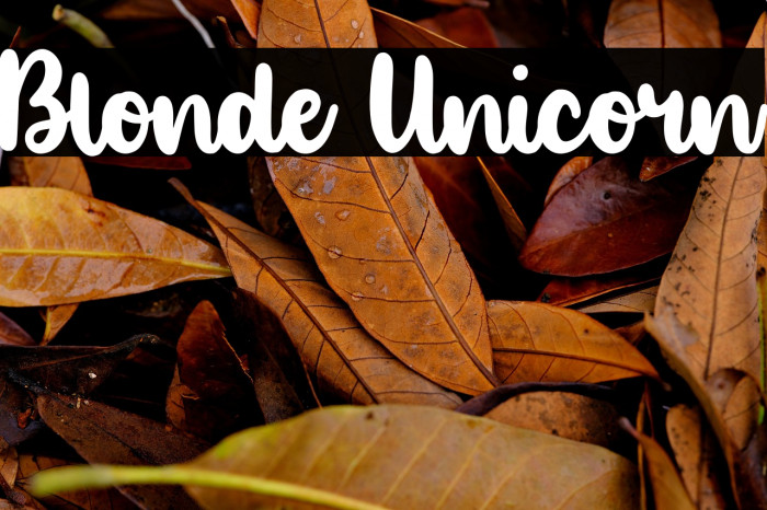 Blonde Unicorn Example 3
