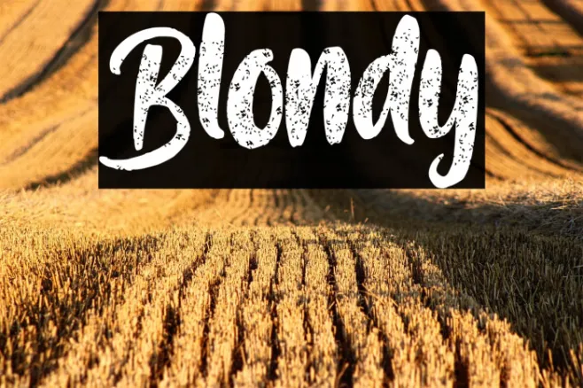 Blondy Example 2