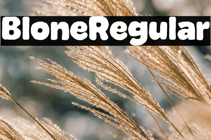 Blone Regular Example 3