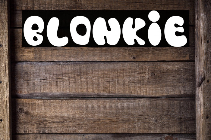 Blonkie Font examples