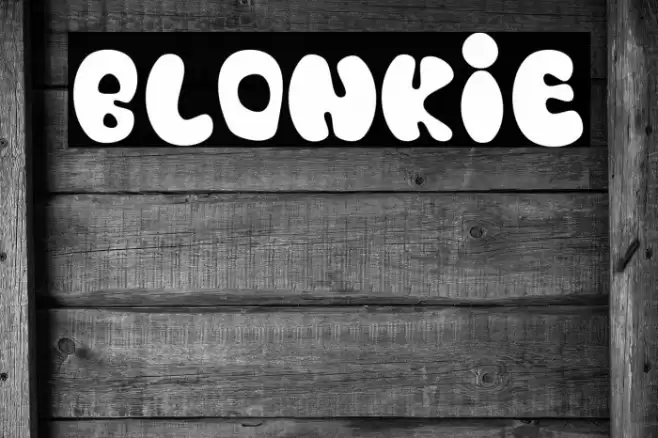 Blonkie Font examples