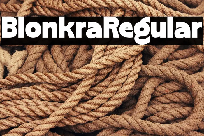Blonkra Regular Example 2