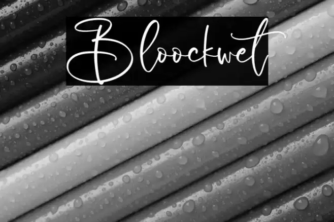 Bloockwet خط examples