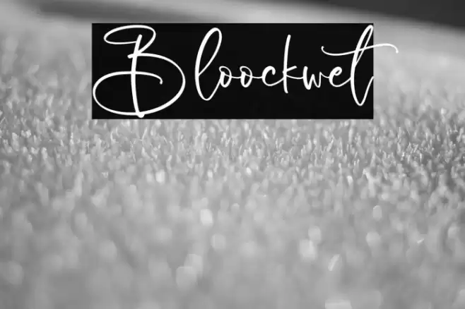 Bloockwet خط examples