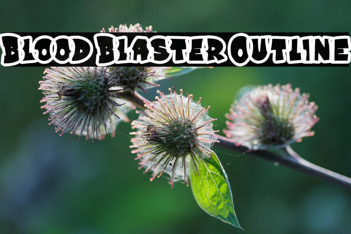 Blood Blaster Outline Example 2