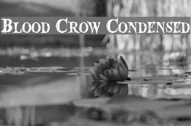 Blood Crow Condensed Fuentes examples