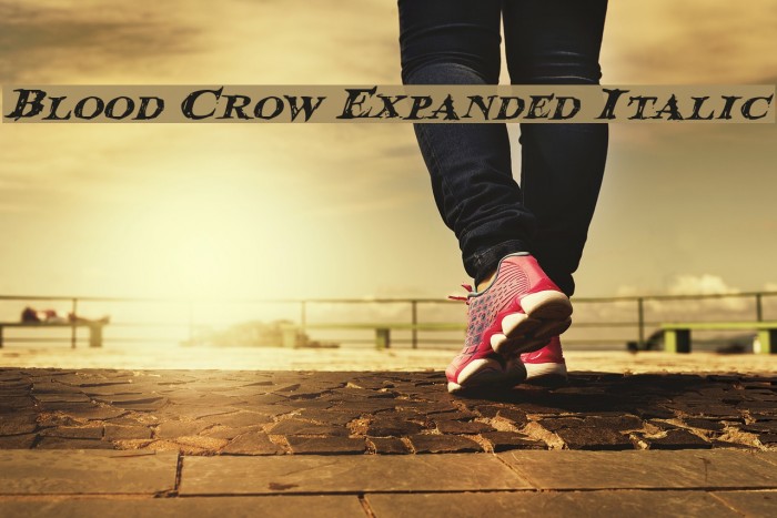 Blood Crow Expanded Italic Font examples