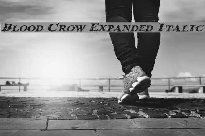 Blood Crow Expanded Italic Fuentes examples