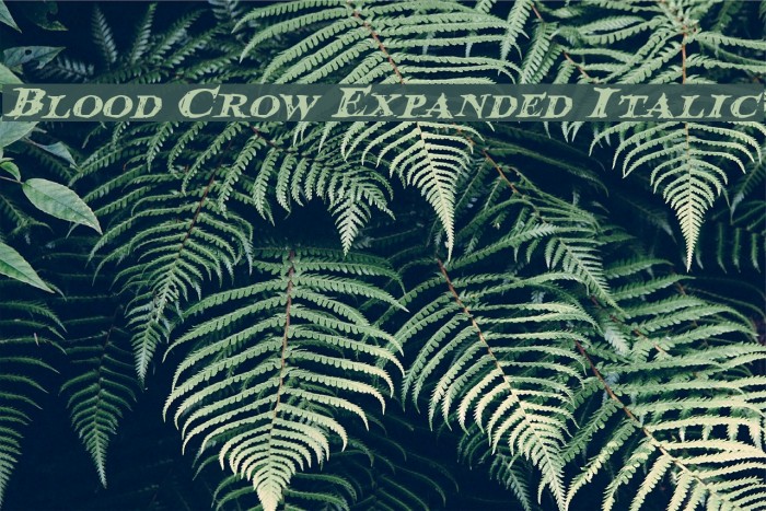 Blood Crow Expanded Italic Font examples