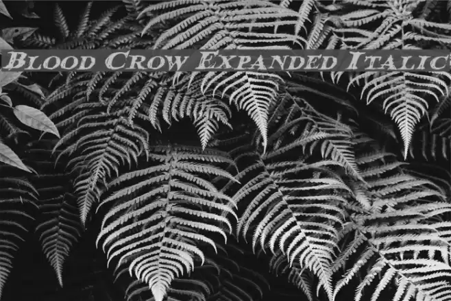 Blood Crow Expanded Italic Fuentes examples