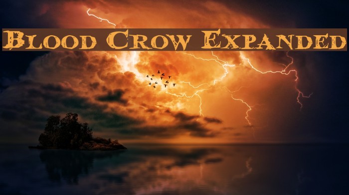 Blood Crow Expanded Font examples