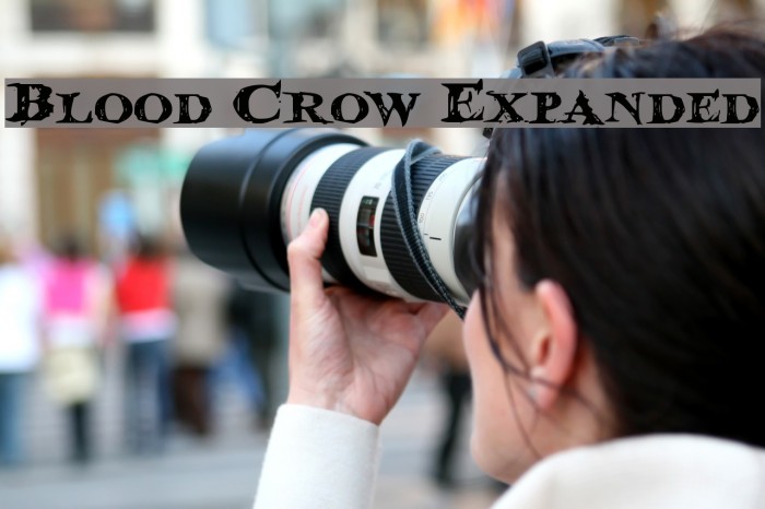 Blood Crow Expanded Font examples
