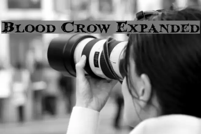 Blood Crow Expanded Font examples