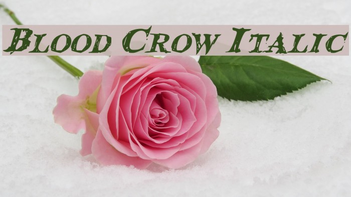 Blood Crow Italic Font examples