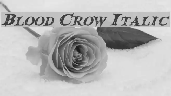 Blood Crow Italic Font examples