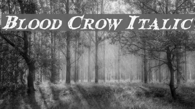 Blood Crow Italic Font examples