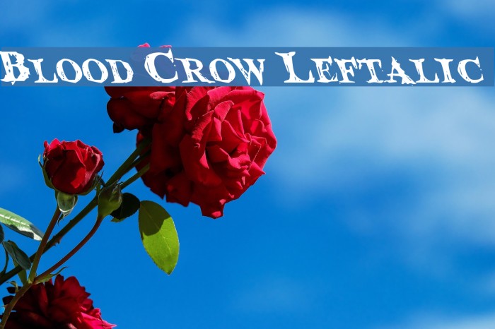 Blood Crow Leftalic Font examples