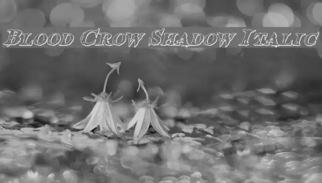 Blood Crow Shadow Italic Fuentes examples
