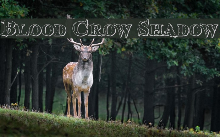 Blood Crow Shadow Font examples