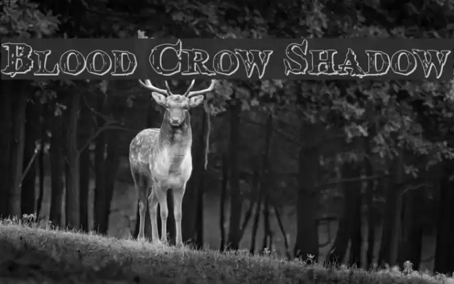 Blood Crow Shadow Font examples