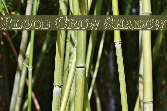 Blood Crow Shadow Font examples